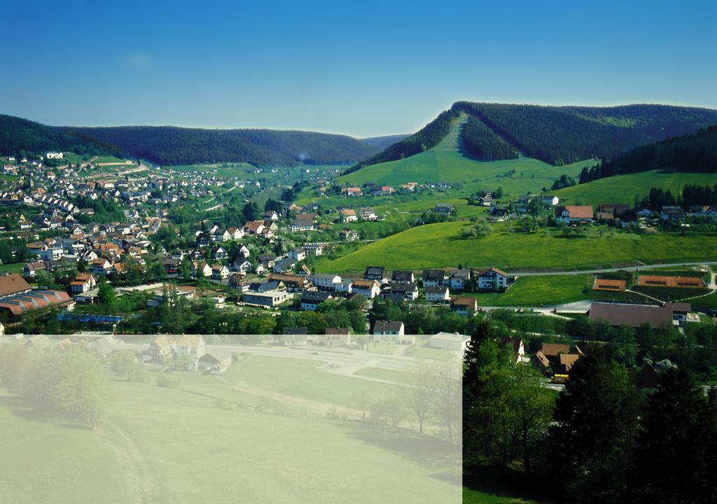 Haus Bergwiese Baiersbronn Εξωτερικό φωτογραφία